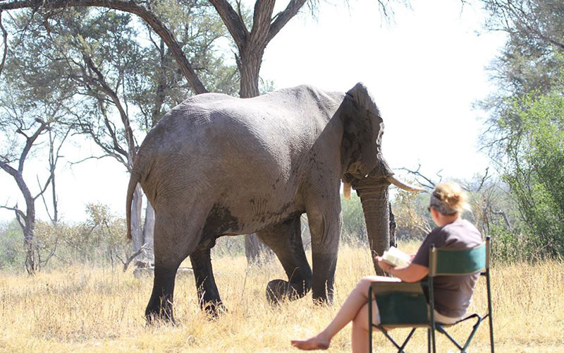 Masai Mara Honeymoon Packages