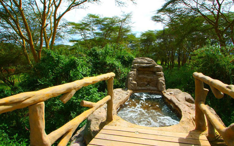 Masai Mara Honeymoon Packages