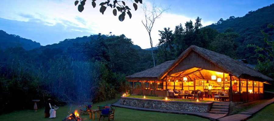 Dhahabu Tours & Safaris